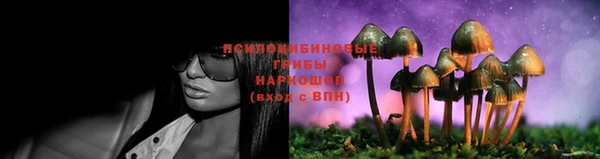 стаф Арсеньев