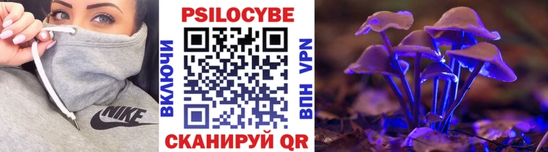 hydra сайт  Касимов  Псилоцибиновые грибы Psilocybine cubensis 